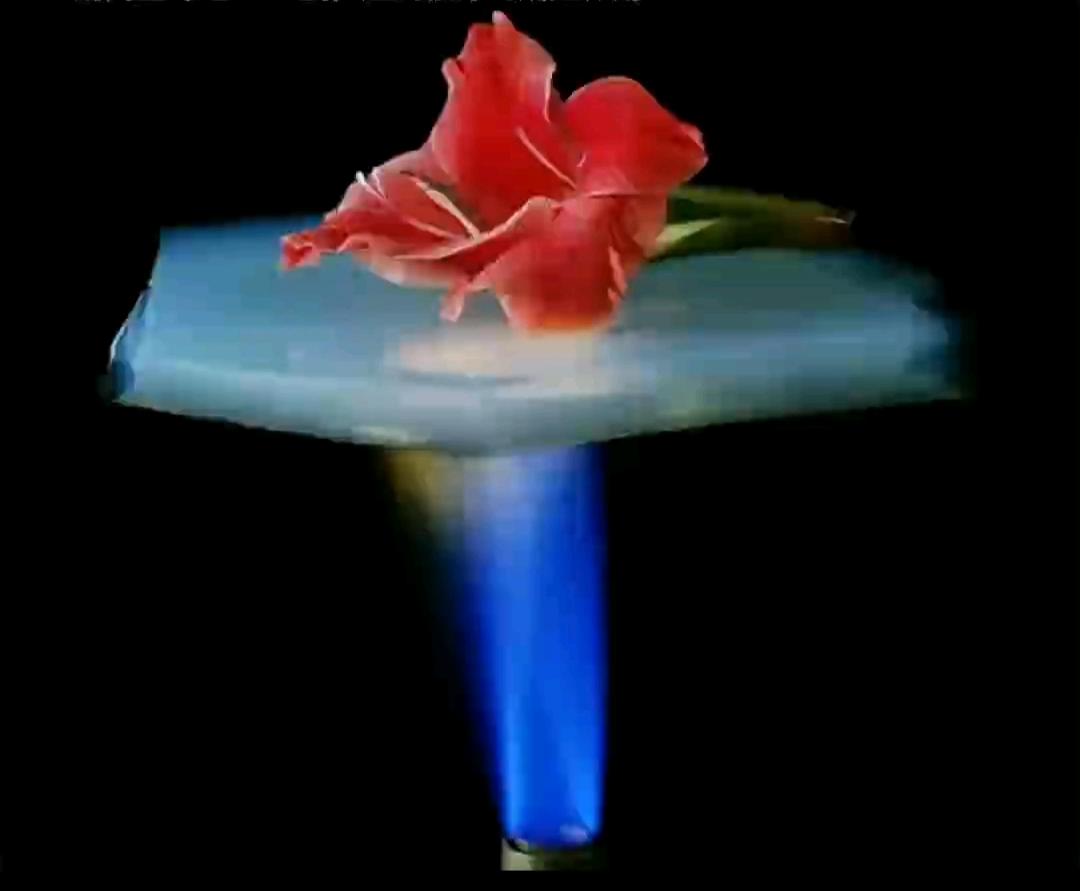 tDzRS1f0wdl75cvFvqgdnwa62304e57cbb739dc04e9972aaaee877